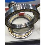   Scheerer 10809-RIT Oil Field Industry Bearing